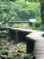 Mount Qingcheng